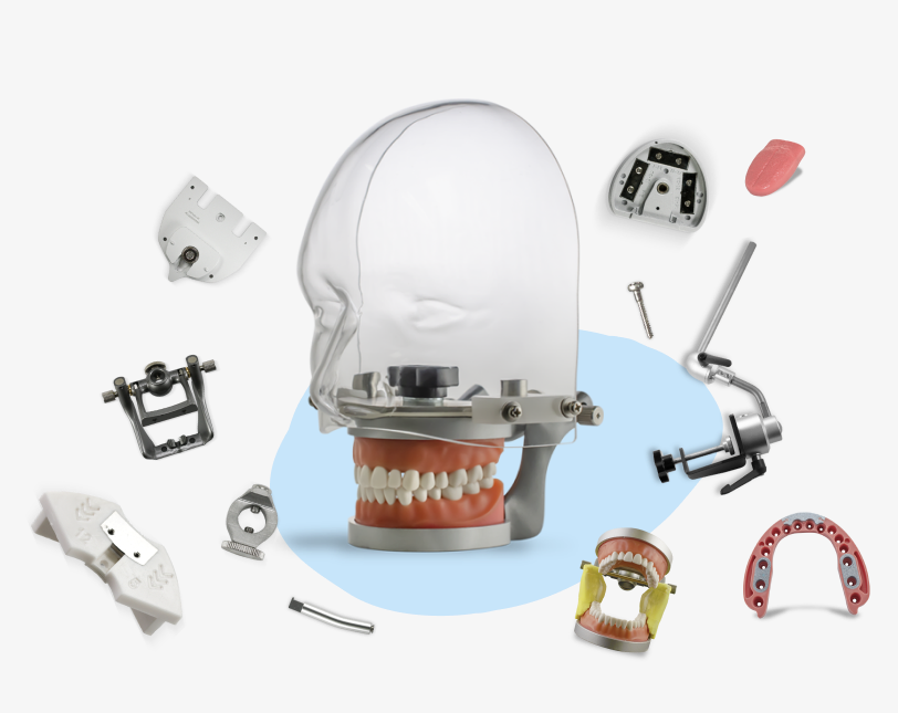Dental accessories — articulators, trays, plates, and adapters