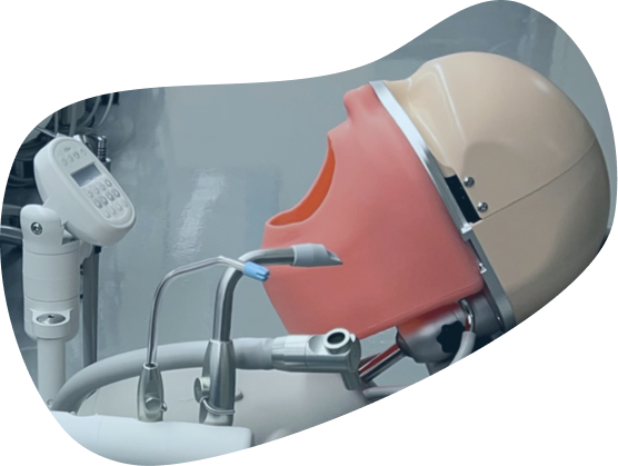 Charlie manikin mounted in a dental simulation chair