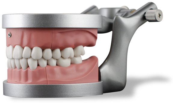 Fixed Prosthodontics and Endodontics
