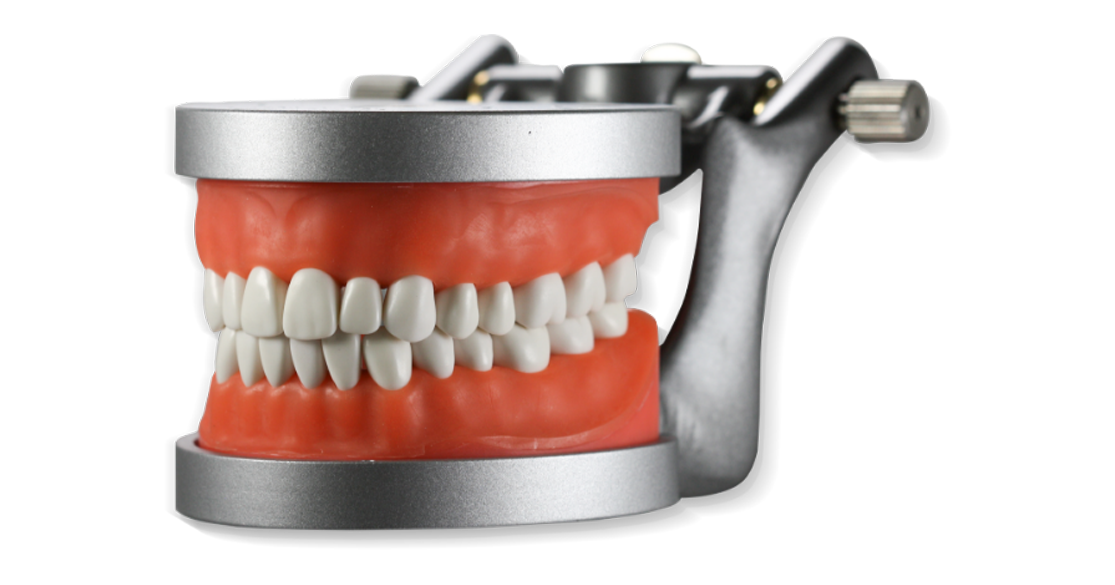 ModuPRO articulator model
