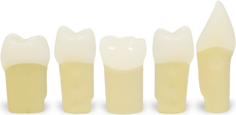 Prime Layered Teeth (PLT)
