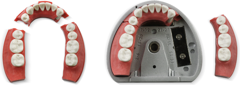 Refill Kit (Pros)